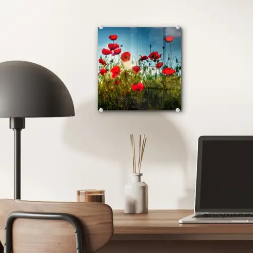 Klaprozen - Toscane - Zon - Rood - Blauw plexiglas 5mm klein -sfeer6