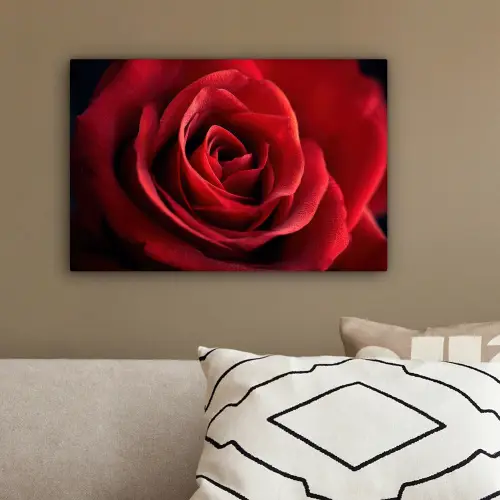 Rood - Roos - Romantisch canvas 2cm klein -sfeer3