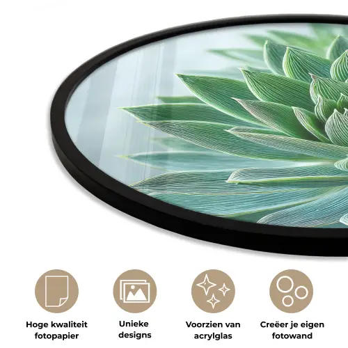 Vetplant - Bladeren - Groen - Wazig Fotolijst rond zonder passe partout klein -closeup_NL