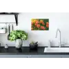 Bloemenveld - Zonnestralen - Oranje Muursticker klein -keuken