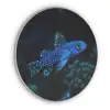 Vis - Stippen - Koraal - Blauw Akoestische PET Vilt - Rond klein -3d