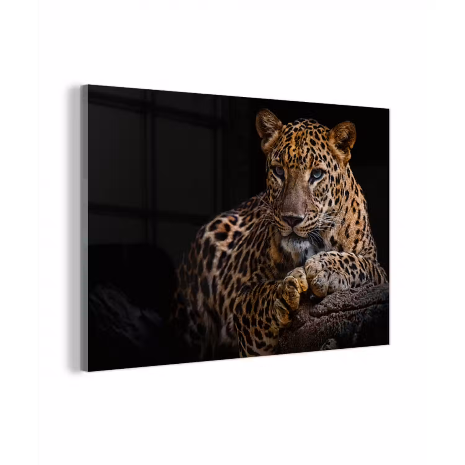 Glasbild - Wildtiere - Panther - Porträt - Schwarz - Tiere