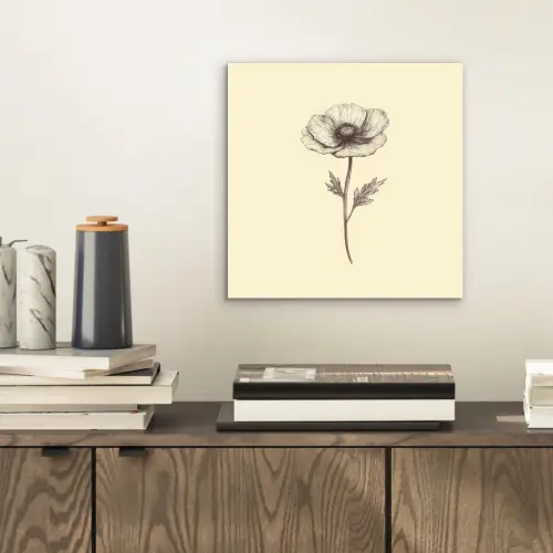 Klaproos - Illustratie - Zwart aluminium wit klein -sfeer1