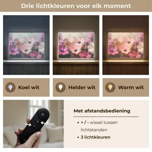 Bloemen - Kleurrijk - Bloei Light Box met batterij (Wandlamp) middel -USP_lichtkleurNL
