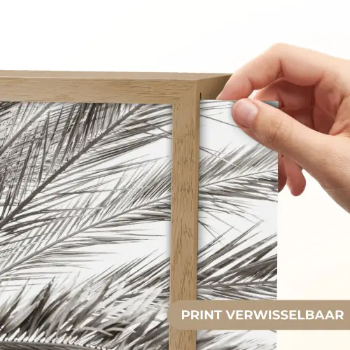 Palmboom - Tropisch - Zwart - Wit Light Box met batterij (Wandlamp) middel -USP_websiteprintNL