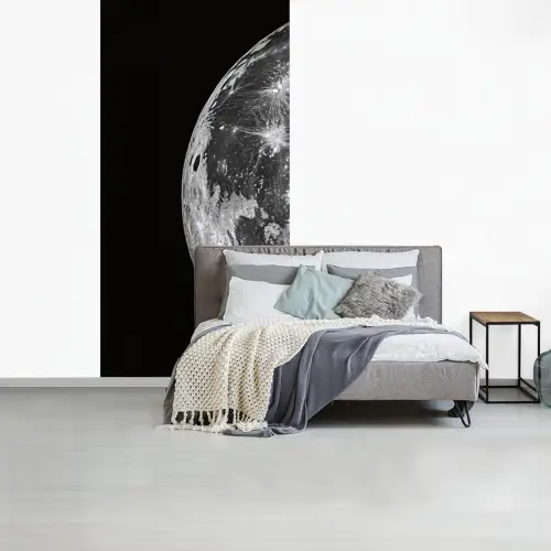 Close-up - Maan - Wit - Textuur fotobehang vinyl groot -slaapkamer