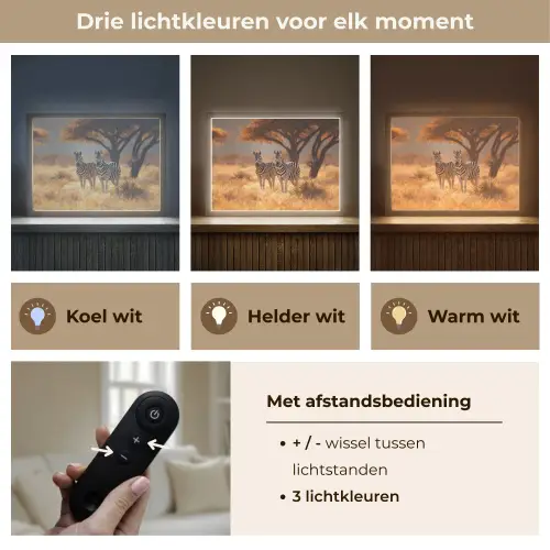 Zebra's - Savannelandschap - Gras Light Box met batterij (Wandlamp) middel -USP_lichtkleurNL