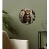 Schotse hooglander - Toilet - Krant - Badkamer Wandcirkel behangsticker klein -sfeer2