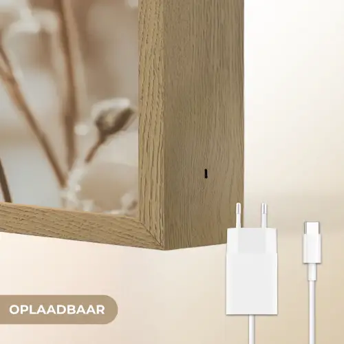 Bloemen - Winter - Wit - Sneeuw - Beige Light Box met batterij (Wandlamp) middel -USP_websiteoplaadbaarNL