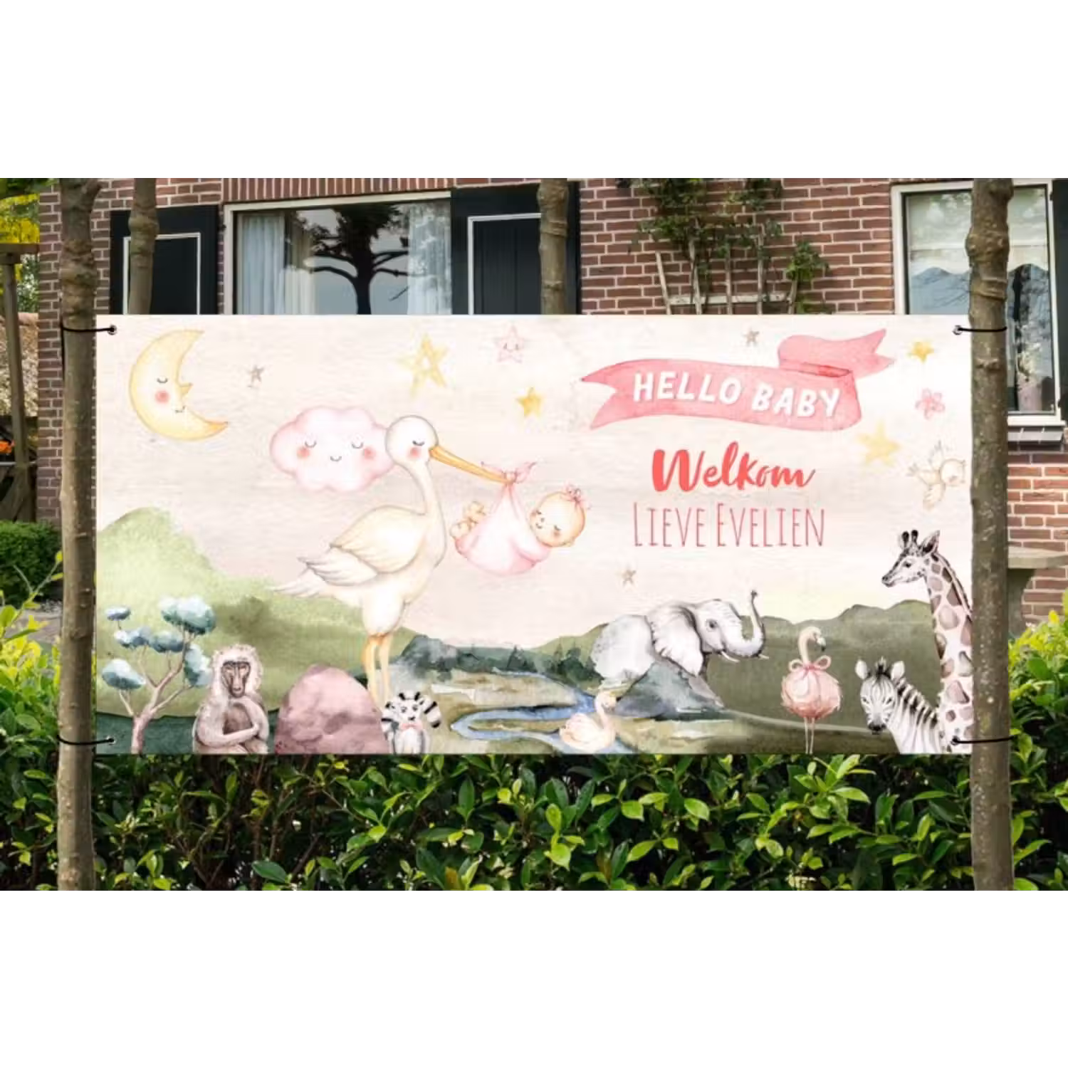 Spandoek - Geboorte - Meisje - Dieren