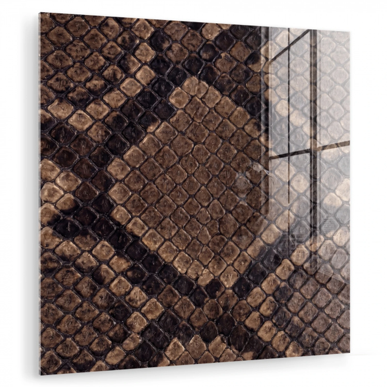 Python - Schubben - Brons plexiglas 5mm klein -zzzproduct_nieuw