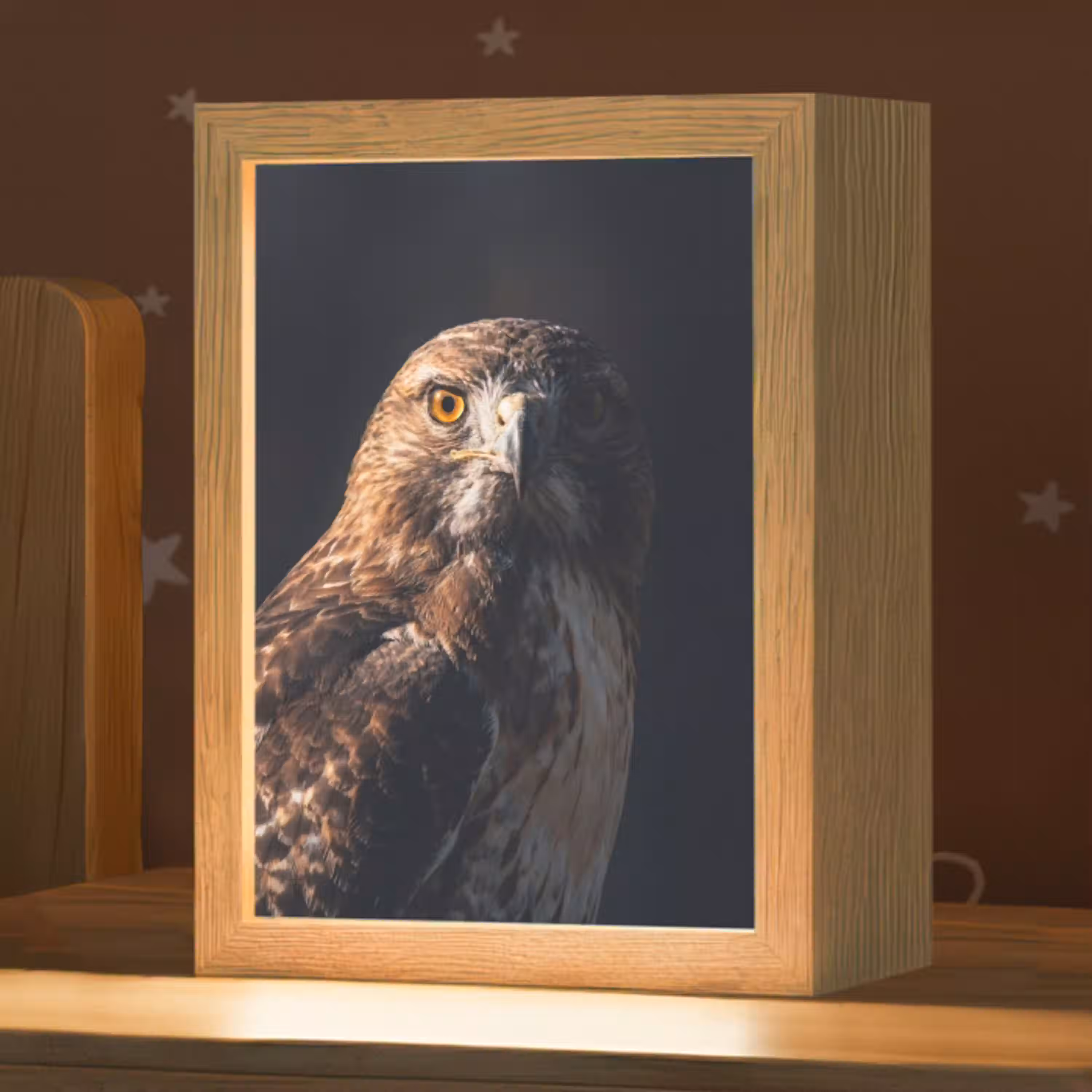 Roofvogel - Buizerd - Bruin Light Box met kabel (Kinderlampje) klein -zzz_3d_website