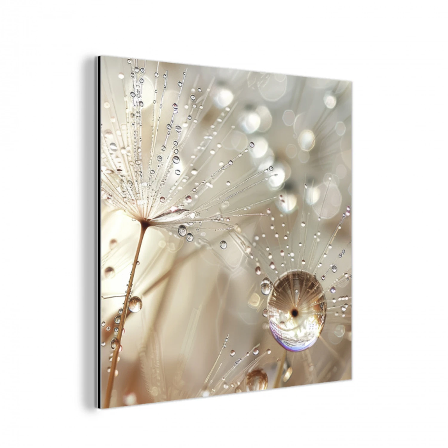 Natuur - Bloemen - Druppels - Regen aluminium wit klein -3d