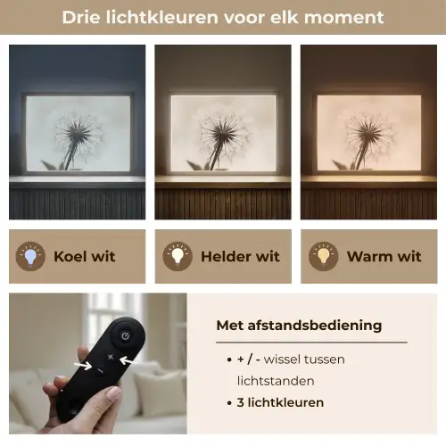 Paardenbloem - Minimalistisch - Wit Light Box met batterij (Wandlamp) middel -USP_lichtkleurNL