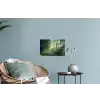 Bos - Pad - Zon - Bomen - Groen - Natuur Muursticker klein -plant