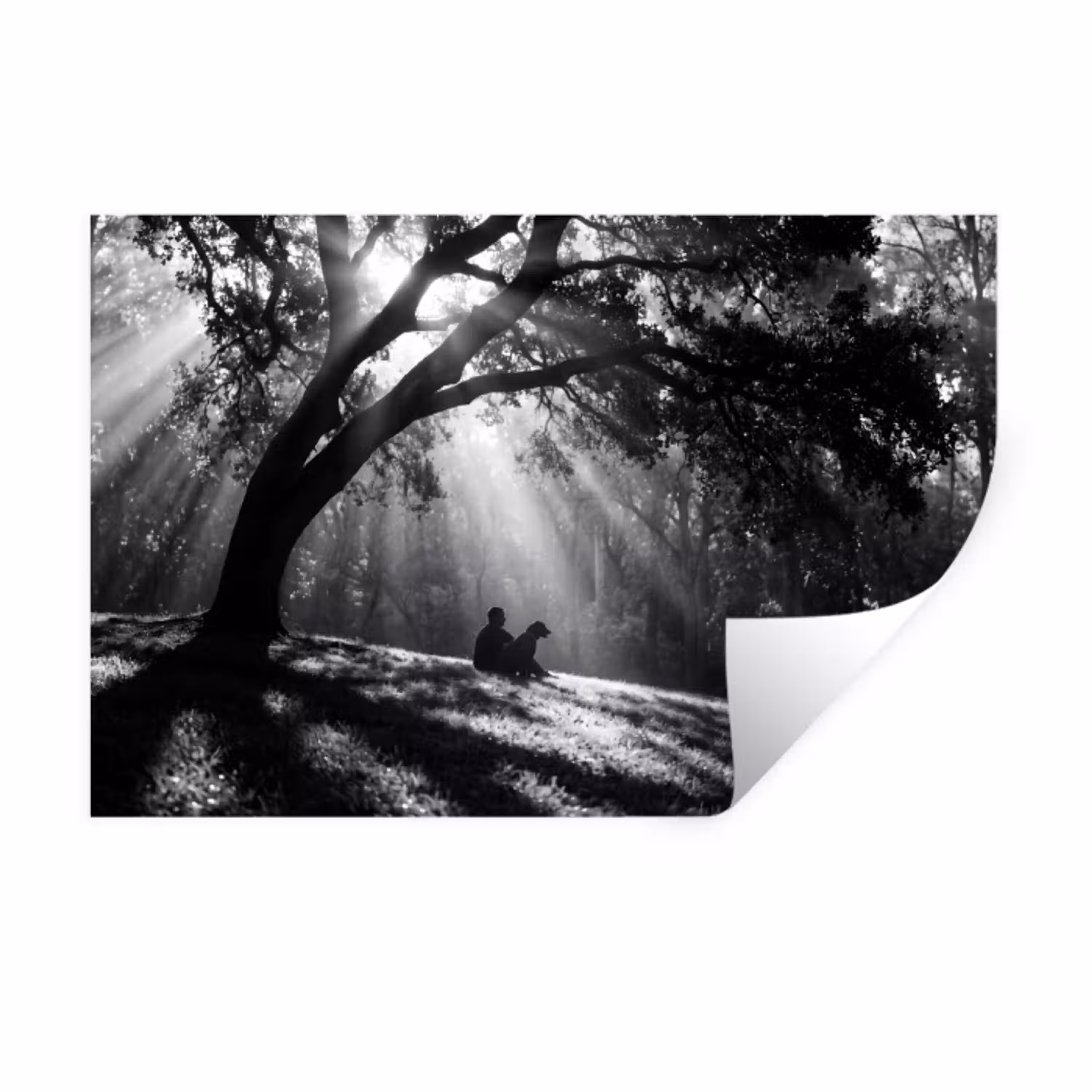 Mens - Hond - Natuur - Zwart-wit - Silhouet Muursticker klein -3d