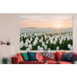 Tulpen - Landschap - Wit forex 5mm xxl -woonkamer