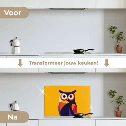 Uil - Grafisch - Kleurrijk - Ogen keuken achterwand spatscherm klein -voor_na_NL