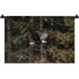 Zeearend - Vliegen - Bos - Natuur Wandkleed katoen klein -zz3d