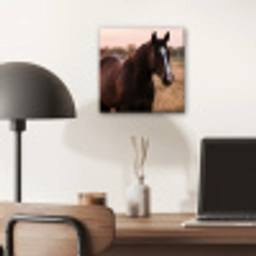 Paard - Zonsondergang - Bruin aluminium wit klein -sfeer5