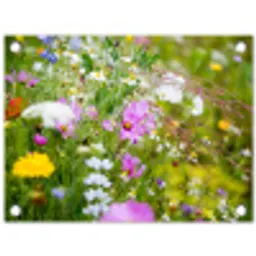 Wilde bloemen in volle bloei tuinposter los doek klein -3d