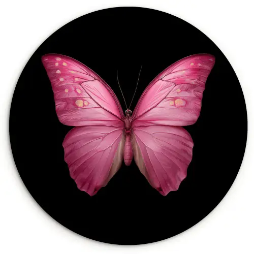 Vlinder - roze - Elegant Wandcirkel kunststof plaat 5mm dik klein -3d