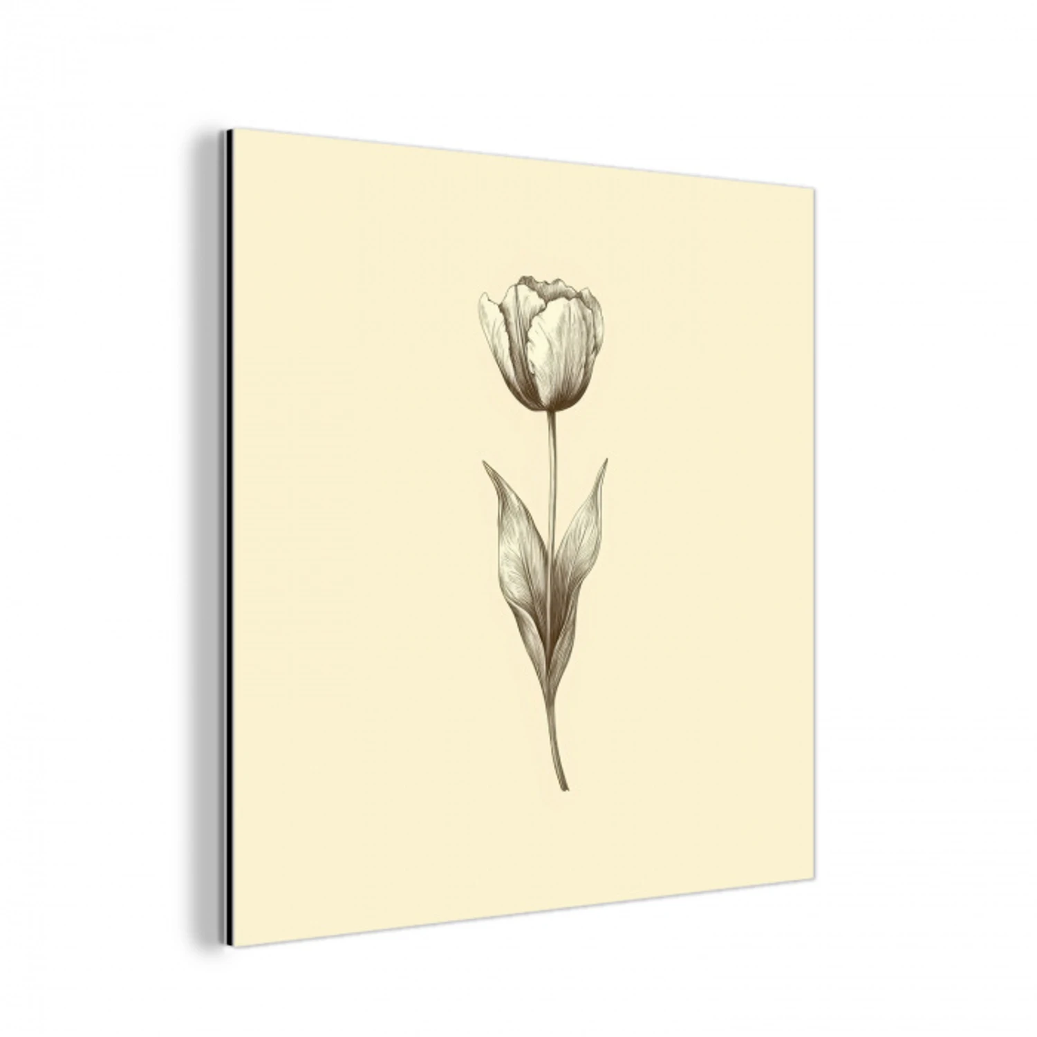 Illustratie - Tulp - Zwart aluminium wit klein -3d