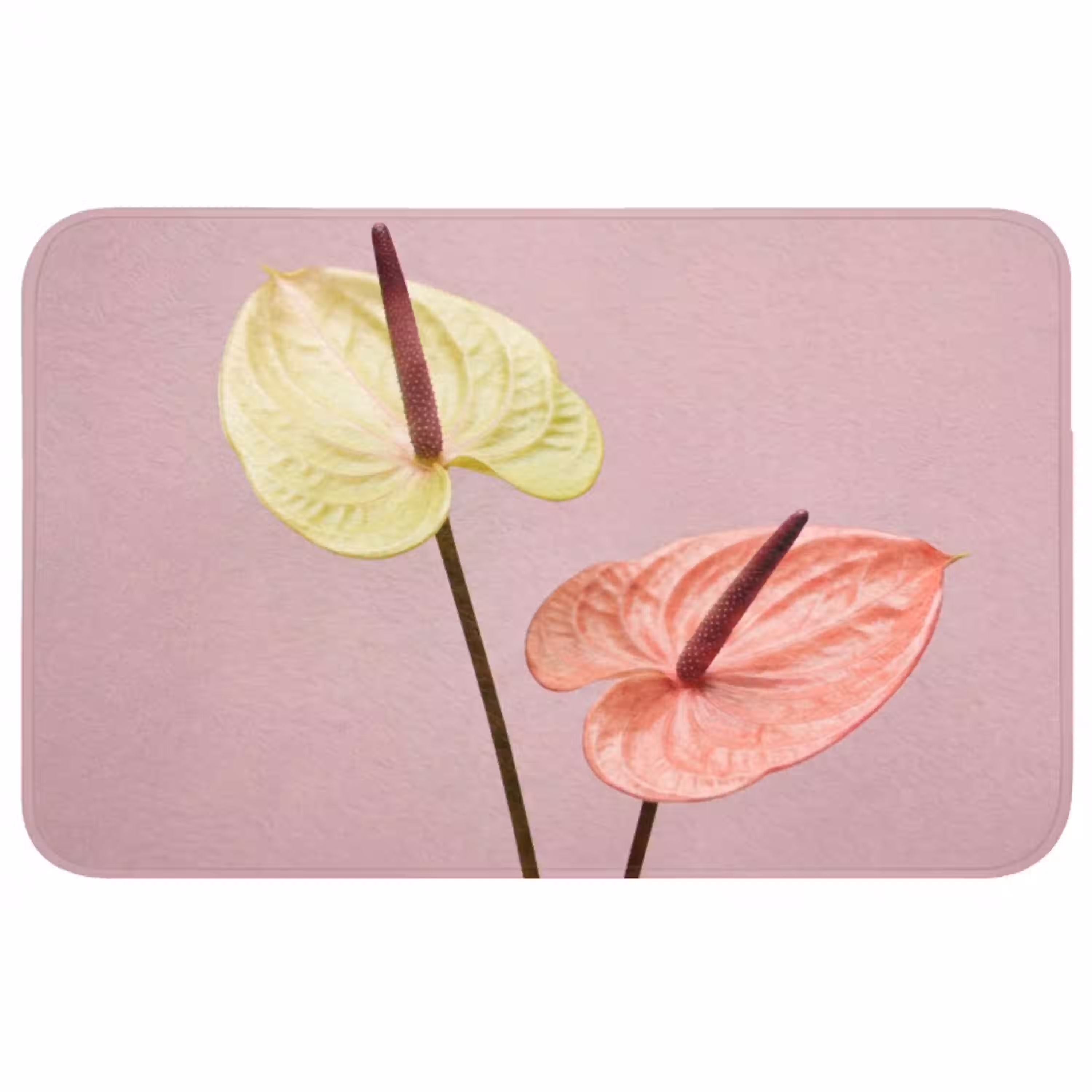 Bloemen - Anthuriums - Geel - Roze WCmat middel -3d