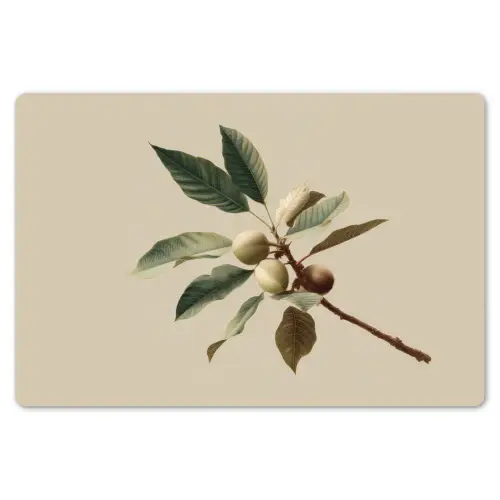 Tak - Groene Bladeren - Vruchten Placemat vinyl groot -zzsfeer1_Kitchenyeah-website