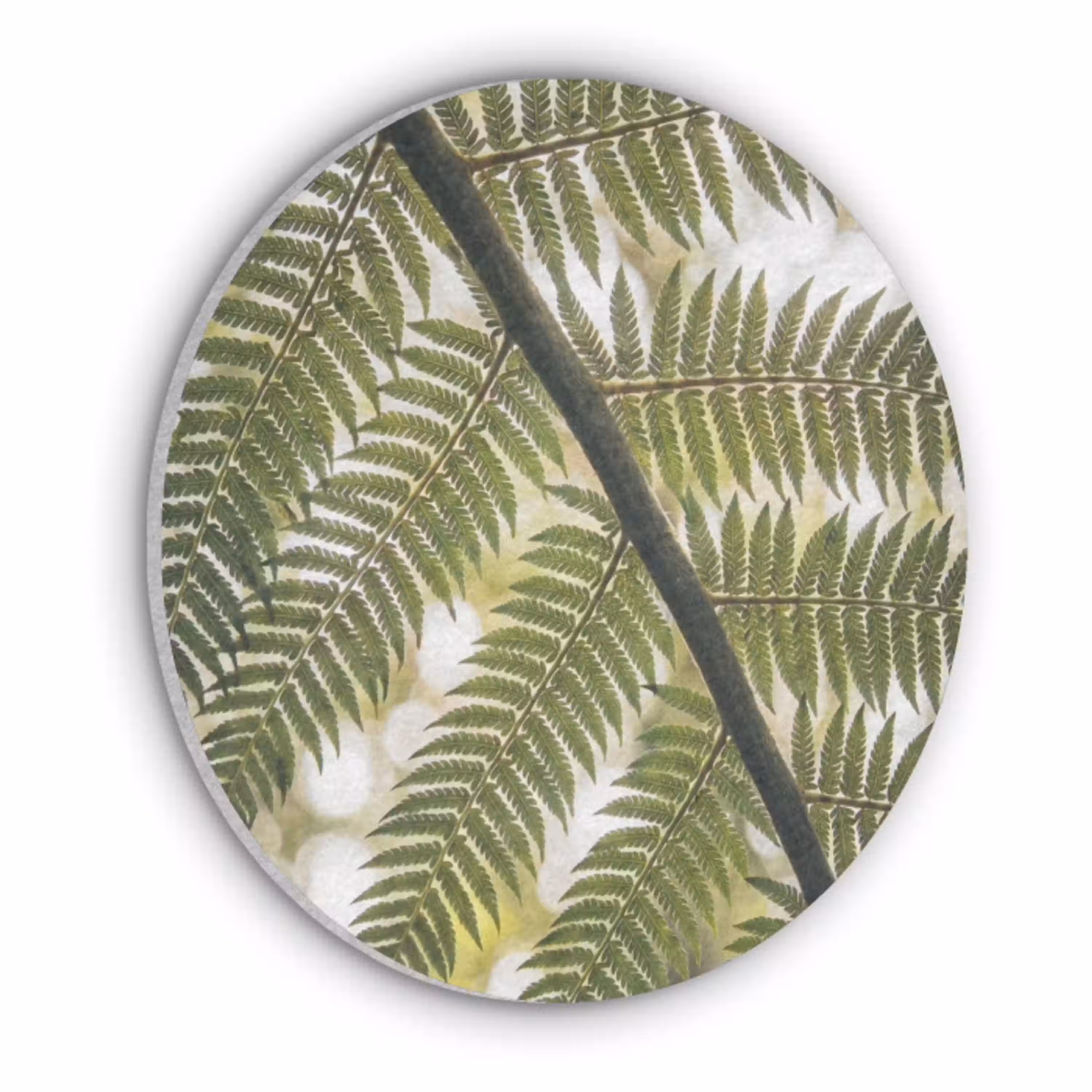 Plant - Blad - Natuur - Groen - Detail Akoestische PET Vilt - Rond klein -3d