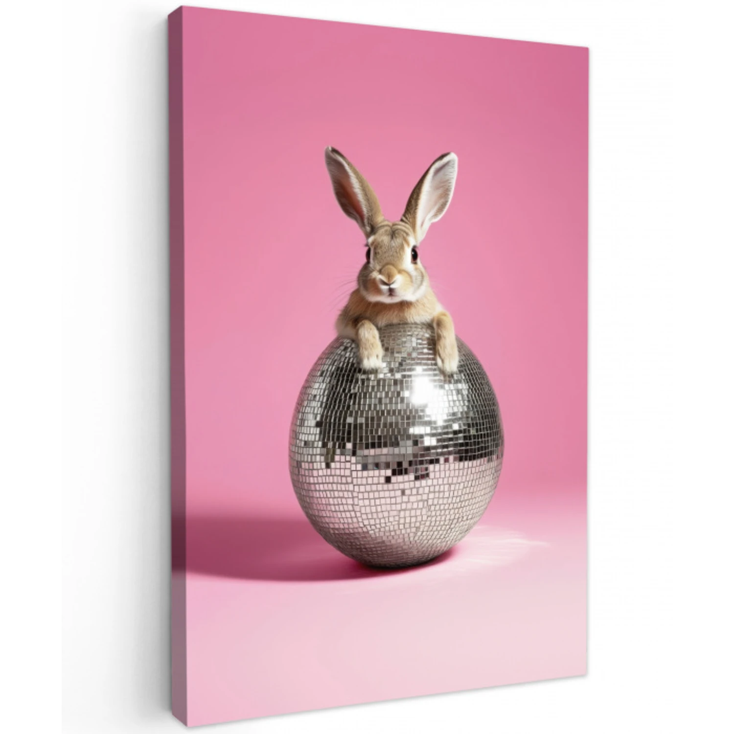 Haas - Strik -Discobal Tuinposter op houten frame 2 cm dik middel -3d