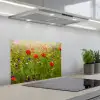 Lente - Bloemen - Rood - Klaproos - Gras - Groen keuken achterwand spatscherm klein -3d_schuin