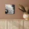 Paardenbloem - Zwart - Wit plexiglas 5mm klein -sfeer5