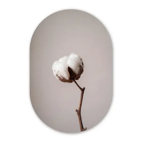 Katoenbol - Minimalistisch - Wit Wandcirkel Ovaal Forex klein -3d