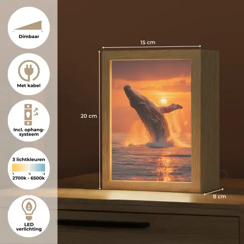 Walvis - Zon - Zee Light Box met kabel (Tafellamp) klein -USP_NL