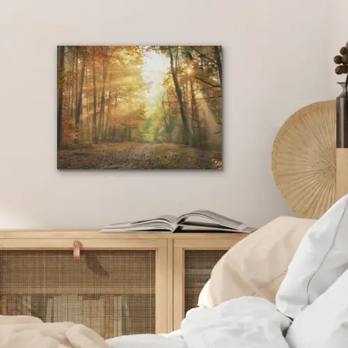 Bos - Herfst - Zon - Landschap - Natuur - Bomen - Bladeren PET vilt klein -sfeer3