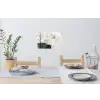 Wabi sabi - Beige - Plant Muursticker klein -eettafel