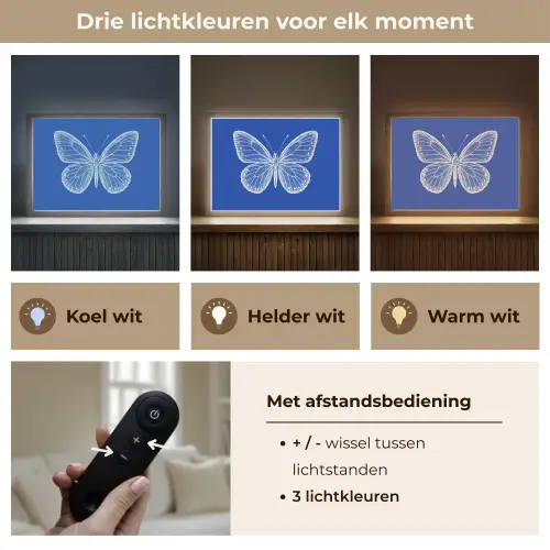 Vlinder - Wit - Getekend - Stippen Light Box met batterij (Wandlamp) middel -USP_lichtkleurNL