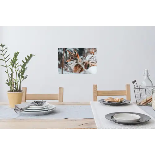 Wolf - Sneeuw - Winter - Dieren - Natuur - Sneeuw Muursticker klein -eettafel