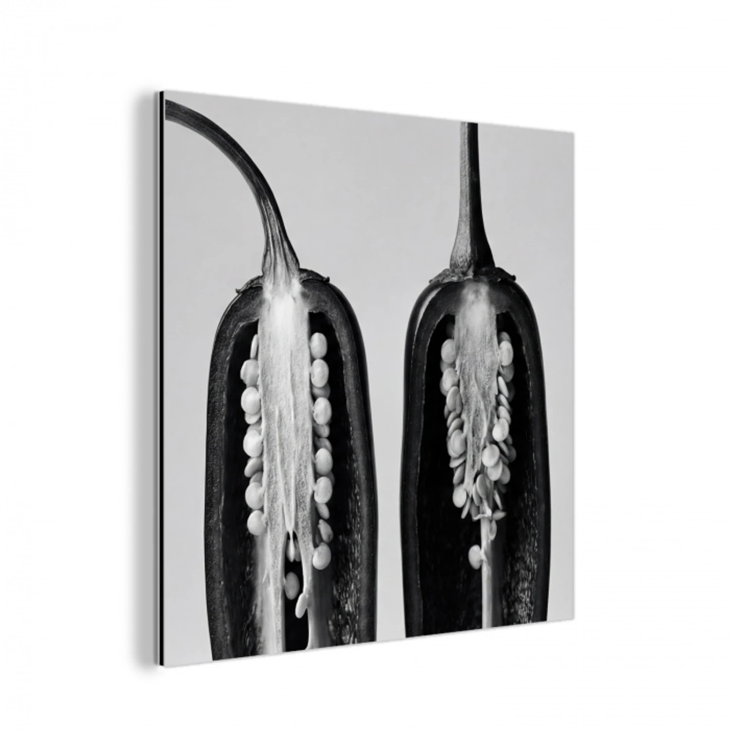 Pepers - Zwart - Wit - Zaadlijsten aluminium wit klein -3d