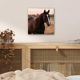 Paard - Zonsondergang - Bruin aluminium wit klein -sfeer3