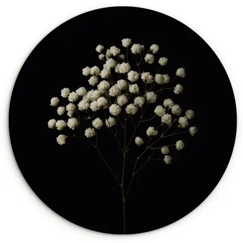 Gipskruid - Bloemetjes - Wit - Minimalistisch Wandcirkel kunststof plaat 5mm dik klein -3d