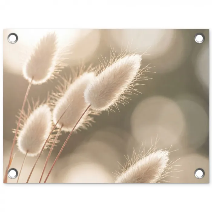 Hazestaartgras - Wit - Zonlicht tuinposter los doek klein -3d