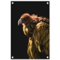 Gier - Roofdier - Vogel tuinposter los doek klein -3d