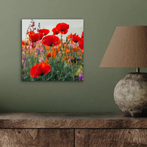 Klaproos - Bloemen - Rood - Paars - Weide aluminium wit klein -sfeer2
