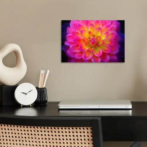 Roze - Dahlia - Kleurrijk poster papier klein -sfeer1