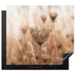 Schermbloem - Droogbloem - Winter - Beige - Minimalistisch Inductie beschermer vinyl 3mm middel -3d