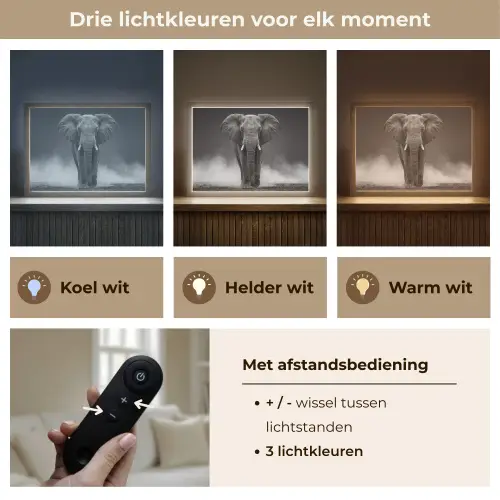 Olifant - Zwart - Wit - Rook Light Box met batterij (Wandlamp) middel -USP_lichtkleurNL