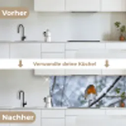 Roodborstje - Tak - Sneeuw - Winter - Levendig keuken achterwand 2 middel -voor-na_DE