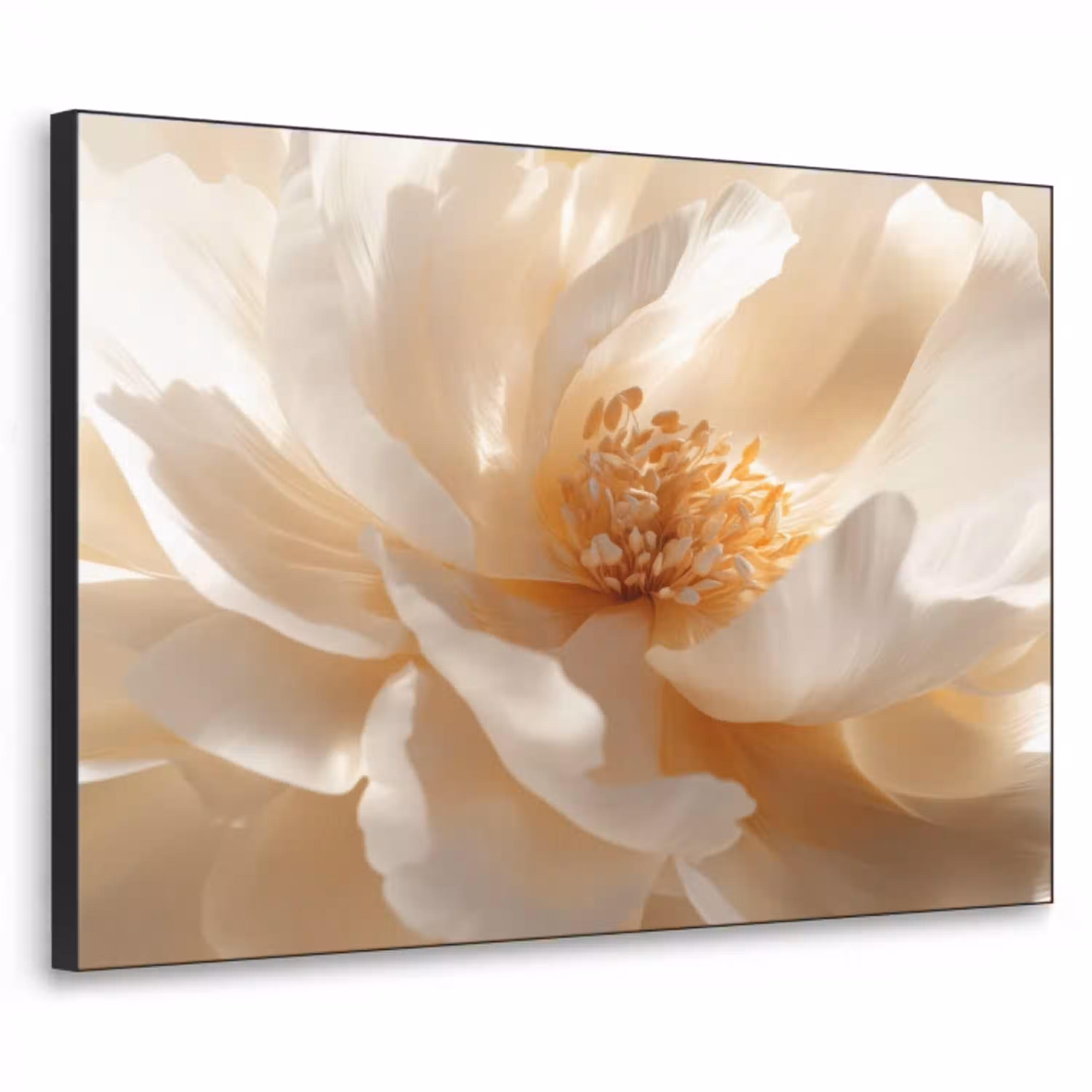 Close up - Pioenroos - Wit Textielframe - compleet frame klein -3d